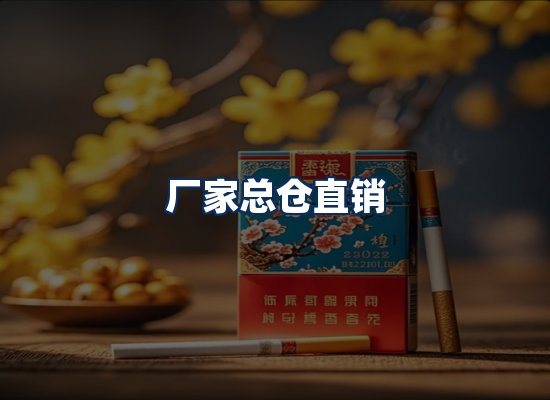 专业团队办公环境